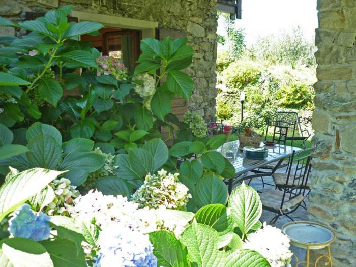 Villa Erica Con Piscina Privata Sul Lago Di Como Колико Экстерьер фото
